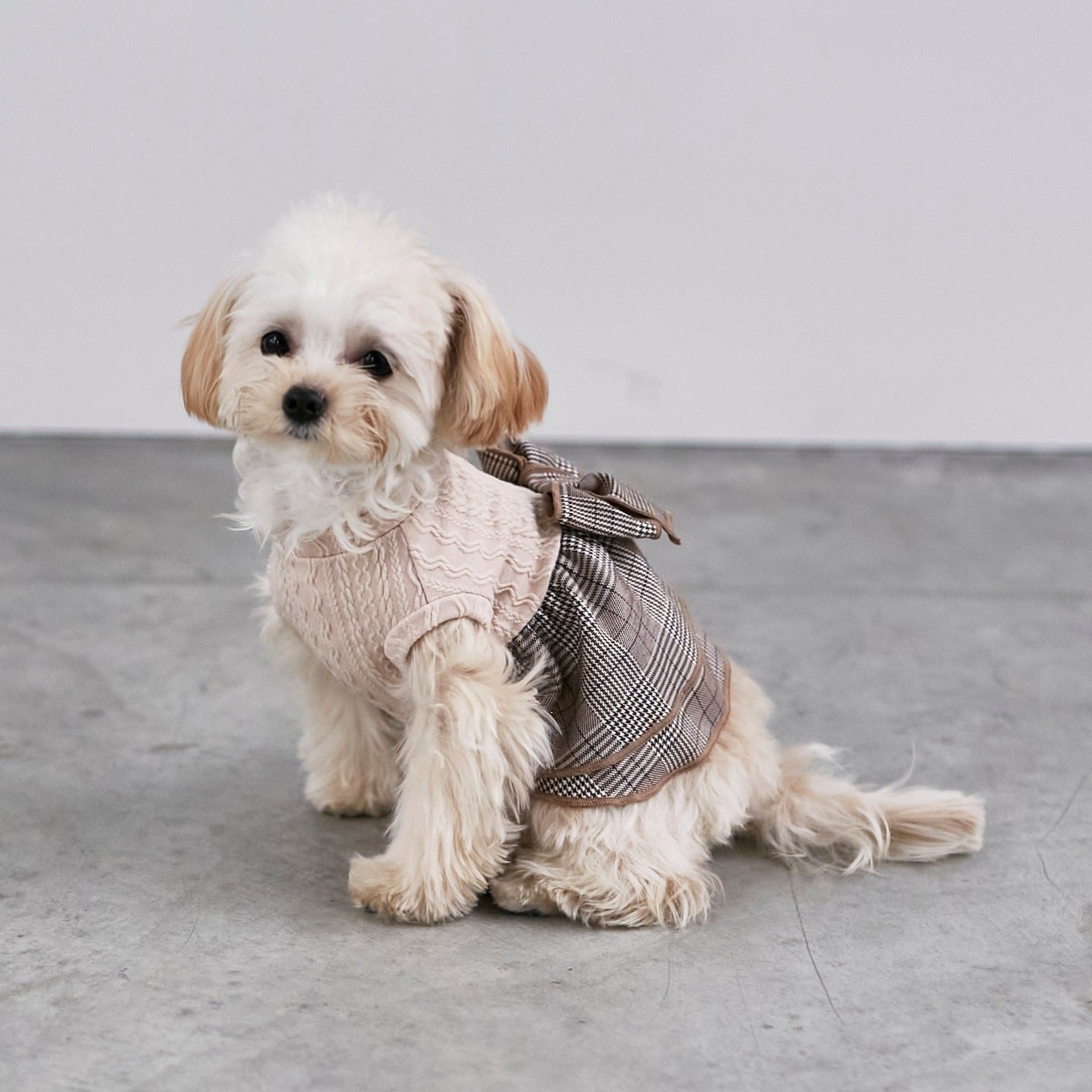 ドッグウェア】チェック柄リボンドッキングワンピース – toutoucoco