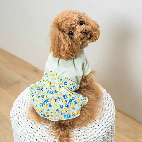 [Dog clothes single] Vivid color T -shirt x floral skirt dress