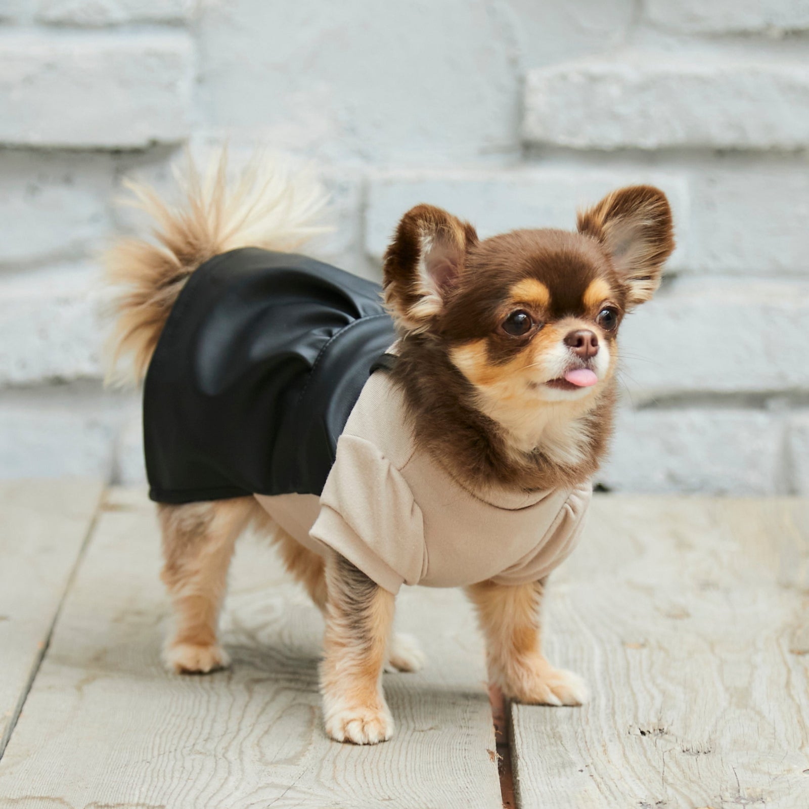 レザーキャミワンピース – toutoucoco