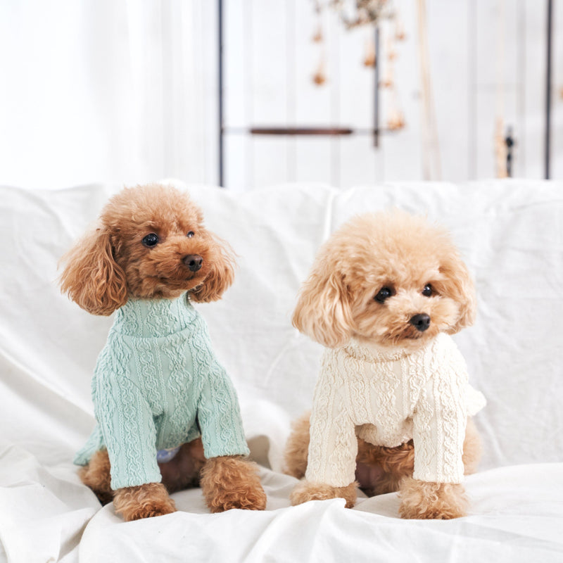 [Dog clothes single] Alan knit