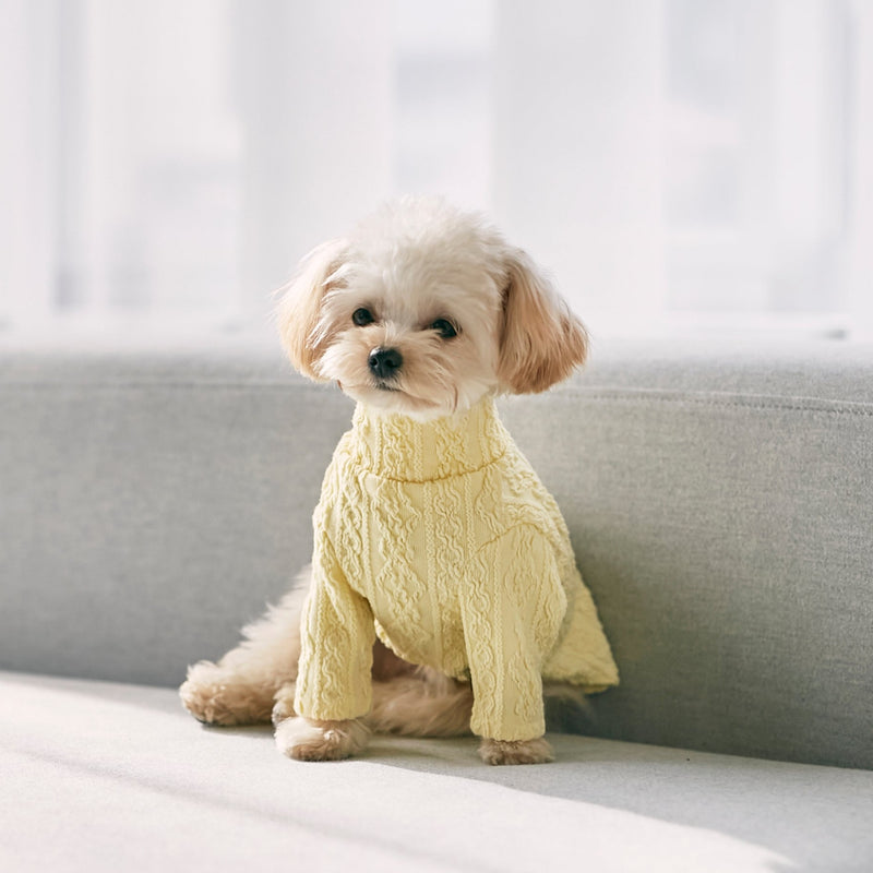 [Dog clothes single] Alan knit