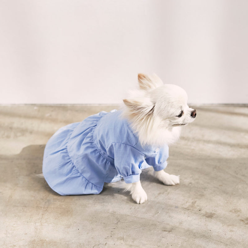 [Dog clothing single] No color tat assed shirt