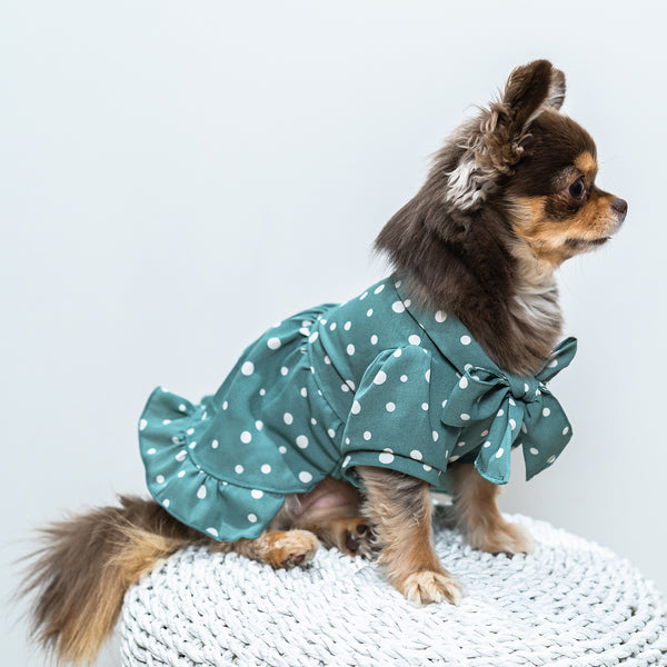 [Dog clothes single] Dot pattern dress with ribbon tie